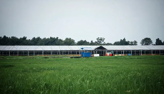 核对清单:设备选型时应关注的关键匹配点
